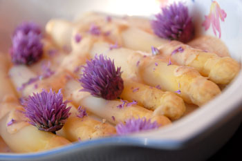 White asparagus with sweet mustard sauce and chive blossoms