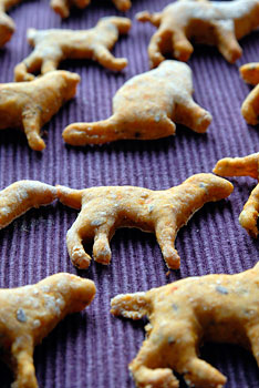 Canine carrot cookies