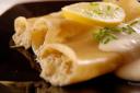Artichoke and hazelnut cannelloni with lemon soy bechamel sauce