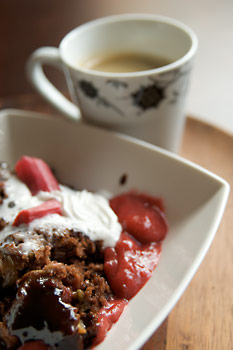 Chocolate and rhubarb self-saucing pudding cake