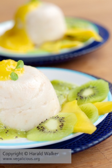 Coconut Pudding with Mango and Kiwi Purees
