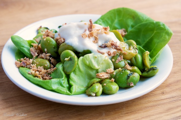 Minty Fava Bean Salad with Crunchy Fried Onions