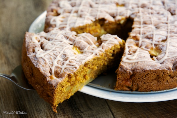 Pumpkin apple cake - Click here to license this image directly from us!