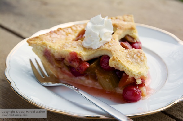 Rhubarb and Red Gooseberry Pie